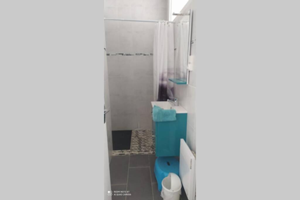 12 Rdc Appartement 2 Chambres Jardin Terrasse 프로누어랜번 외부 사진